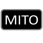 Imagem com texto "Mito"