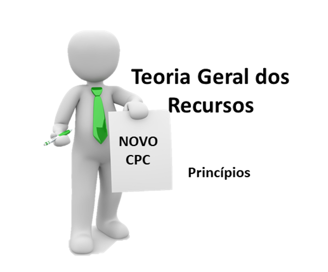 Teoria Geral Dos Recursos - Princípios - DireitonaRede